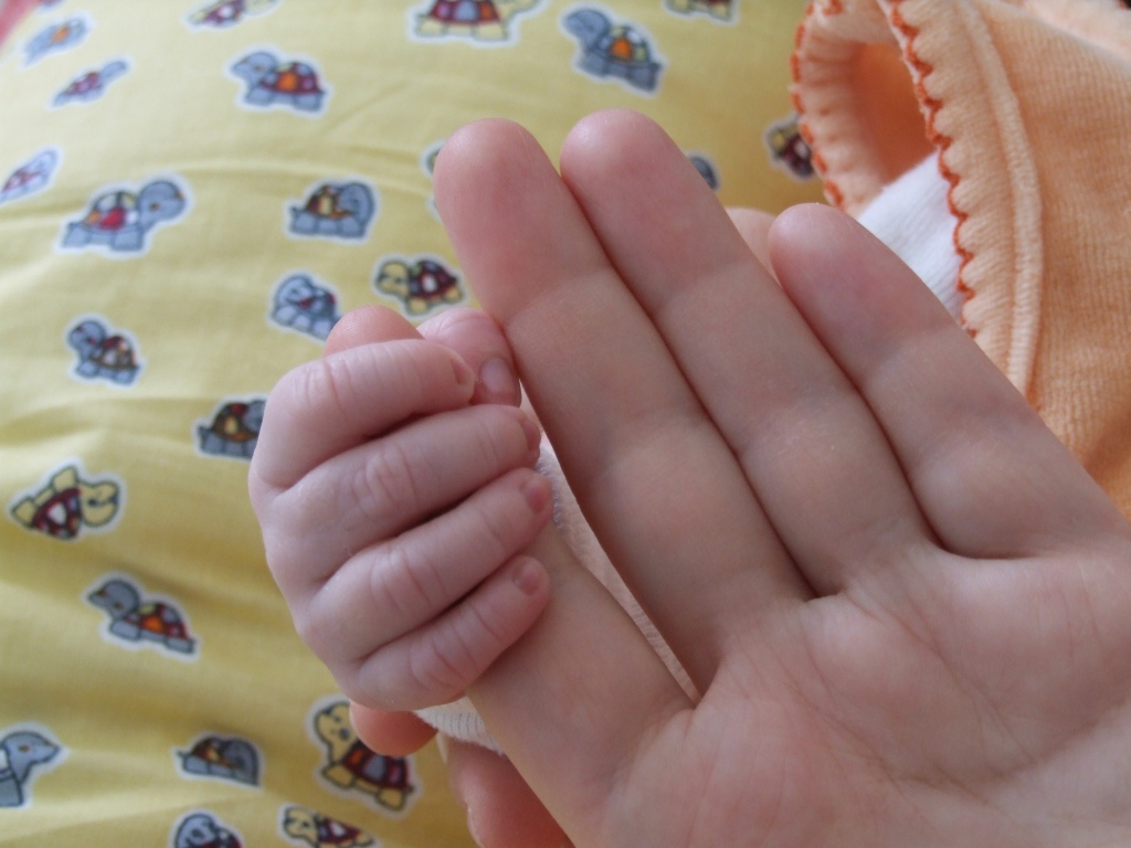 Tessas Hand