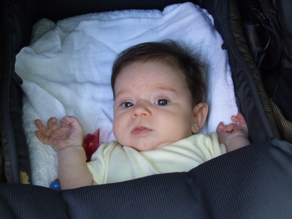 Tessa im Kinderwagen (16.07.2006)