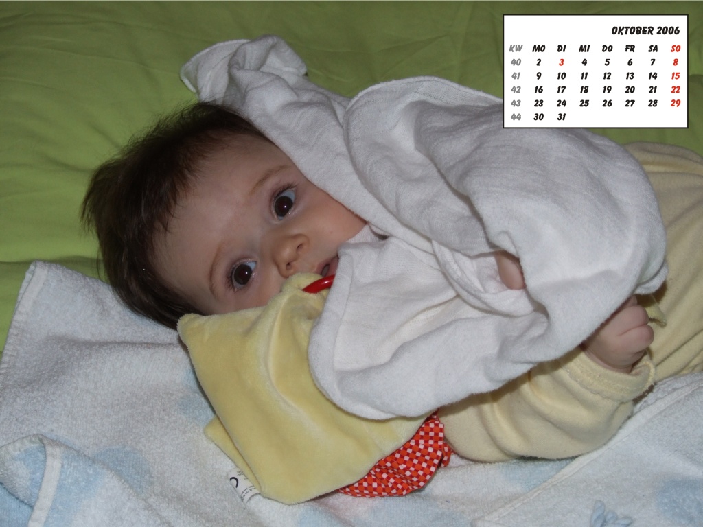 Bild des Monats Oktober 2006
