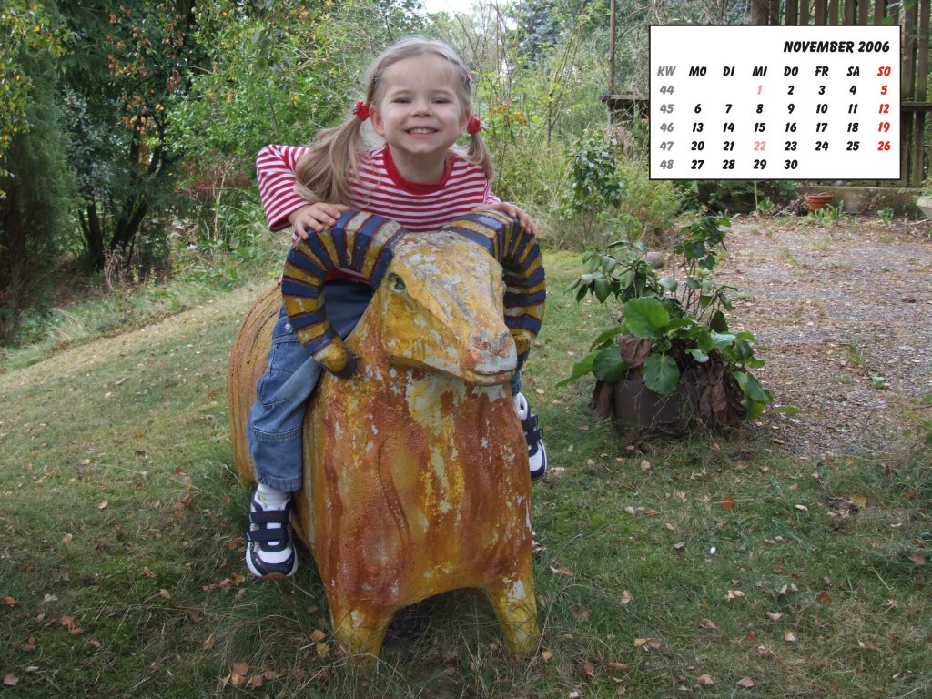 Bild des Monats November 2006