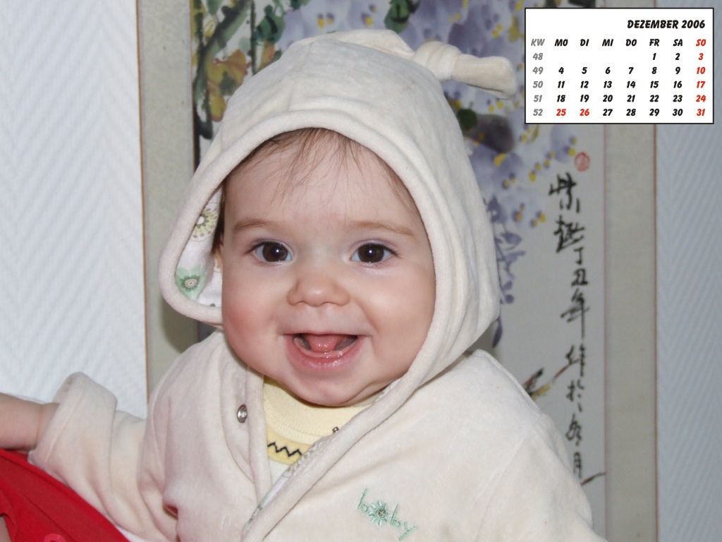 Bild des Monats Dezember 2006