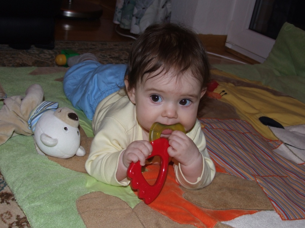 Tessa mit Beißring