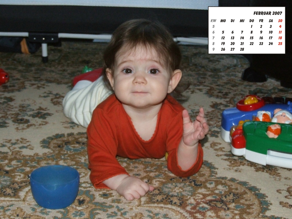 Bild des Monats Februar 2007
