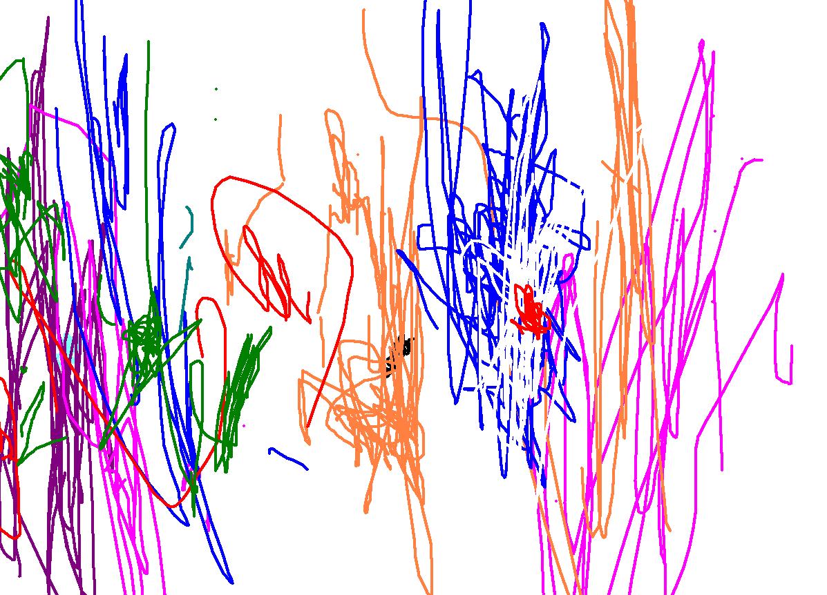Bild_1