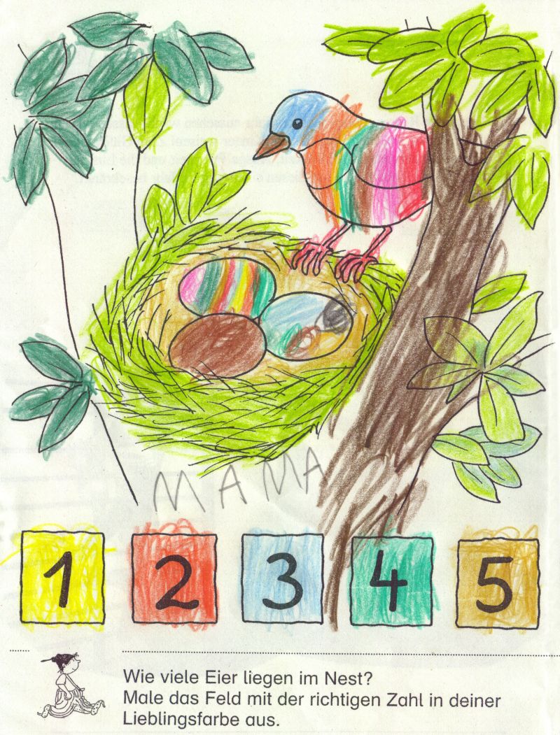 Vogelnest