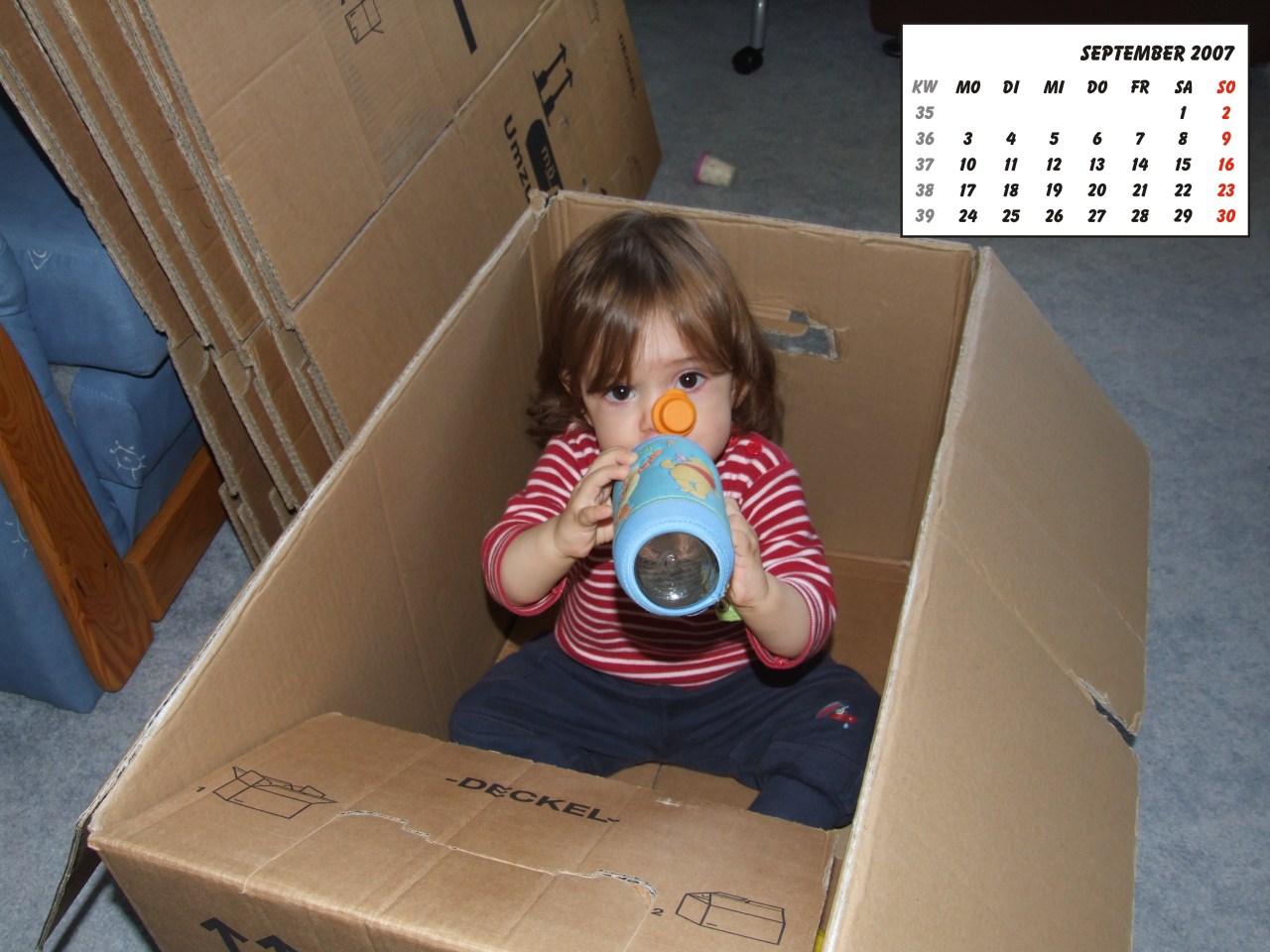 Bild des Monats September 2007