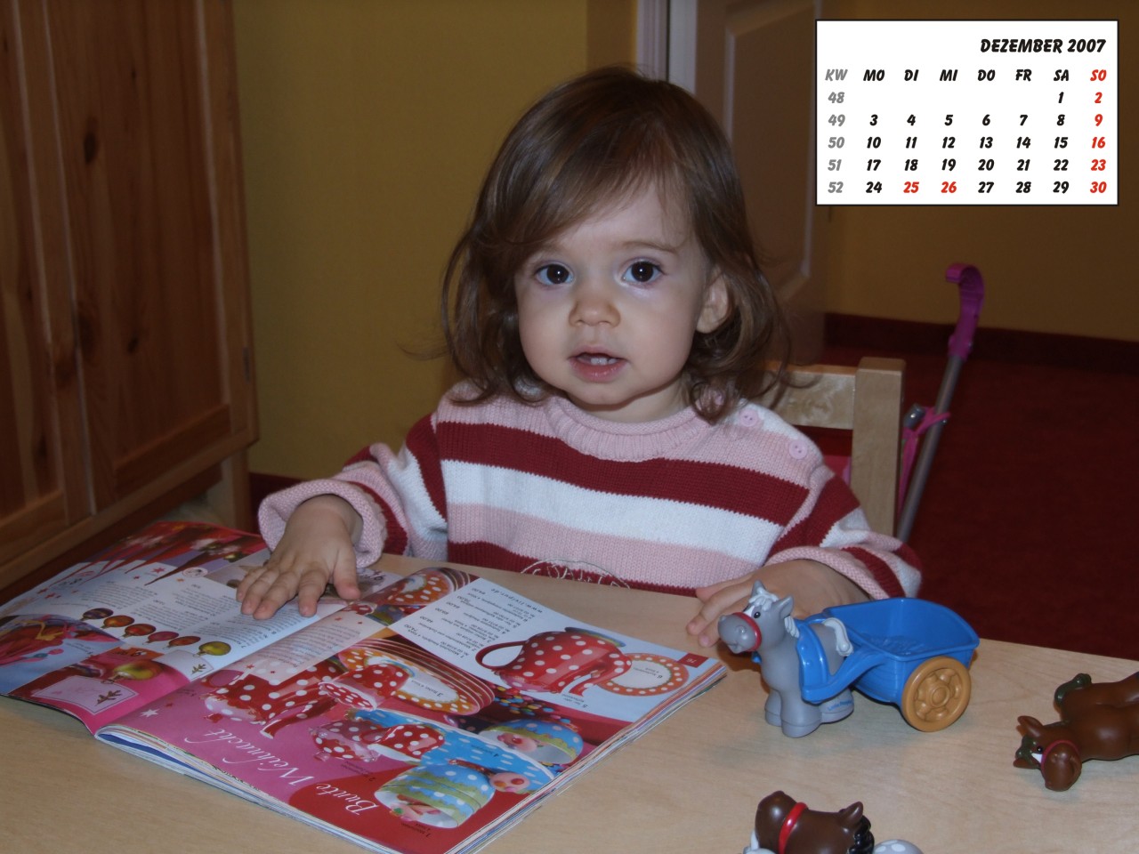 Bild des Monats Dezember 2007