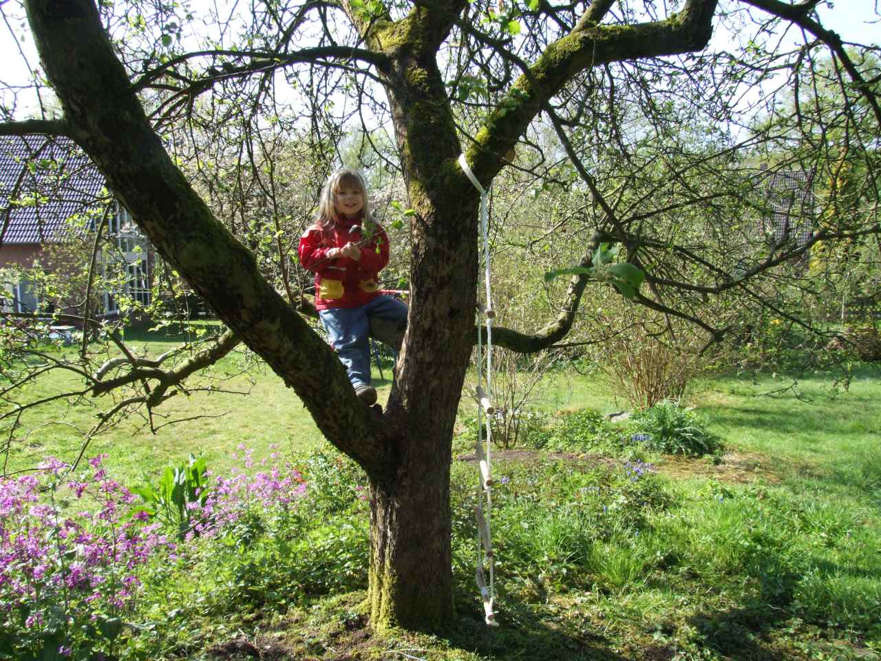 Clara auf dem Kletterbaum