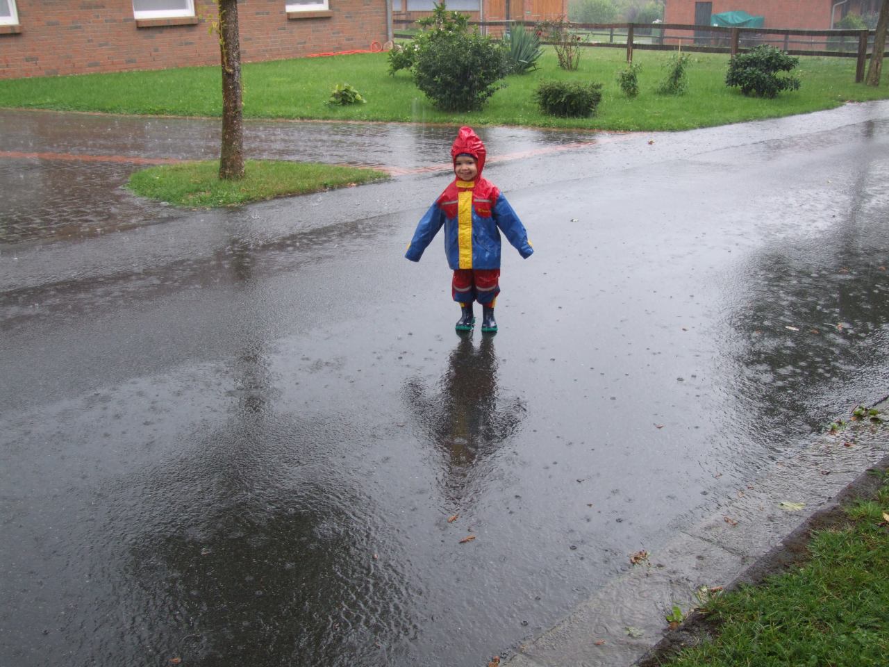 Tessa im Regen