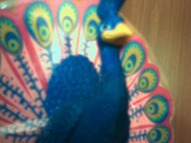 Clarafoto_3