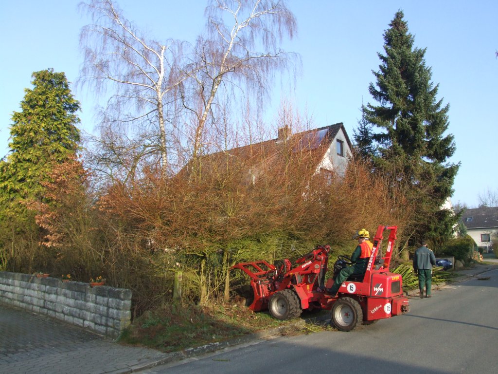 Baumfaellung_1