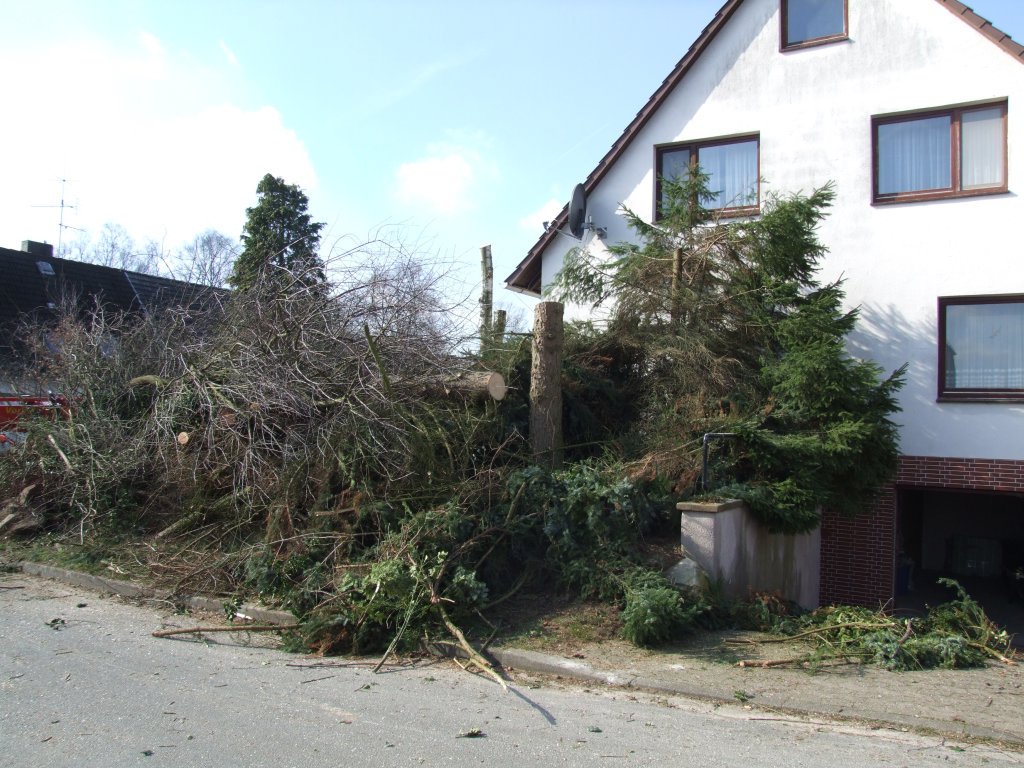 Baumfaellung_2