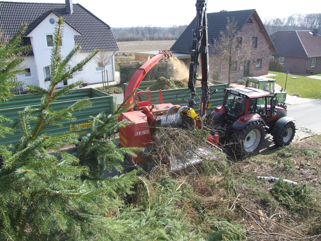 Baumfaellung_3