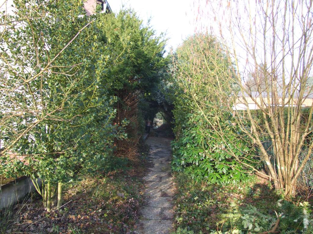 Weg zum Haus_vorher